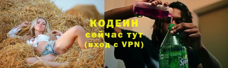 Кодеиновый сироп Lean Purple Drank  Ершов 